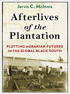 cover image of Afterlives of the Plantation